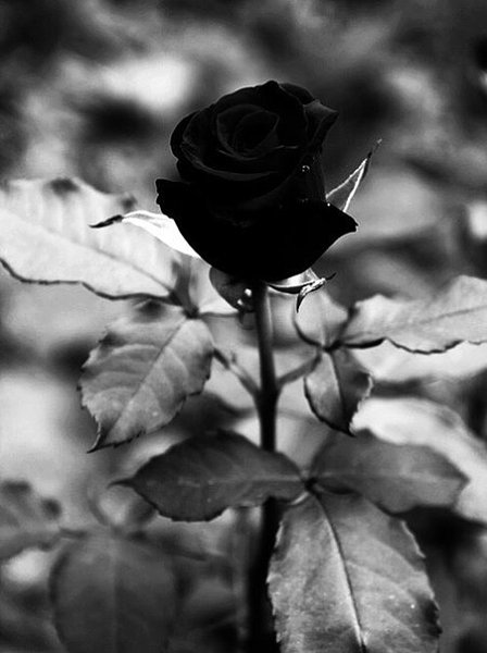 ������ ����� � �������� ����� � ��� ��������� � ���� ������ �����...