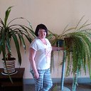 ���� �����, ������ �������� - ��������� 24 ������� 2018 � ������ ���� ����������