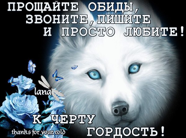 Не храните обиды под сердцем….Отпускайте на волю..прощайте!Есть от горечи старое средство —Вы ...