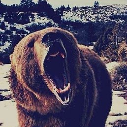 ���� �������, �����-���������, 51 ��� - ��������� 5 ������� 2018