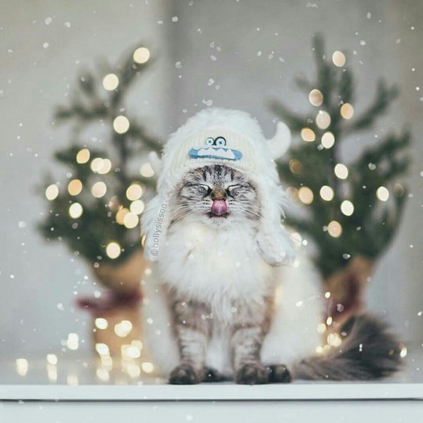   - 4