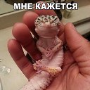 ���� ����, ������, 46 ��� - ��������� 17 ������ 2018 � ������ ���� ����������