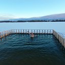 ���� ������, �����, 65 ��� - ��������� 19 ������ 2019 � ������ ���������