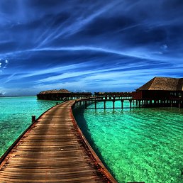 ����, ������