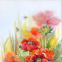 ���� Nikolass, ���� - ��������� 7 ����� 2019 � ������ �8 �����
