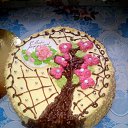 ���� �����, ������������ - ��������� 28 �������� 2018 � ������ ���� �����������