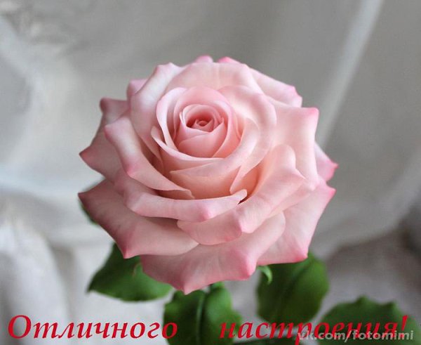 ������� - 31 ������ 2019 � 09:09