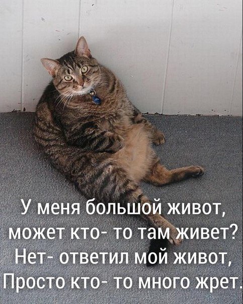    - 24  2019  03:31