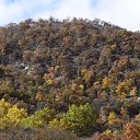 ���� Igor, ��� ����, 62 ���� - ��������� 6 ������ 2018 � ������ �Bear Mountain�