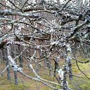 ���� Jurij, ����, 47 ��� - ��������� 5 ������� 2018 � ������ ������ ��������