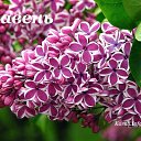 ���� �������, ������ ���, 35 ��� - ��������� 19 ������ 2019 � ������ ���� ����������