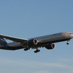 ������, ����, 46 ���