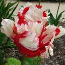 ���� ����, ��������� - ��������� 28 ������� 2018 � ������ ���� ������� �����