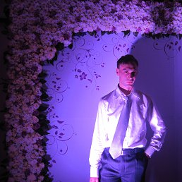 ���������, �������, 41 ���