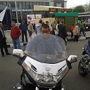 ���� ���������, ����������� - ��������� 10 ������� 2019 � ������ ���� ����������