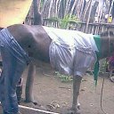 ���� Osman, ������ - ��������� 25 ������� 2018 � ������ ������ ��������