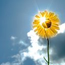 ���� Aleksa, ������, 30 ��� - ��������� 22 ������� 2018 � ������ ������ ��������