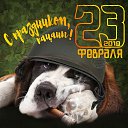 ���� �����, ���������� - ��������� 22 ������� 2019 � ������ ������ ��������