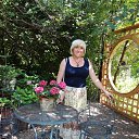 ���� �����, ����������� - ��������� 9 �������� 2018 � ������ ���� ����������