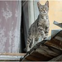 ���� ���������, ���������, 51 ��� - ��������� 30 ������� 2018 � ������ ���� ����������