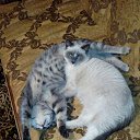 ���� ������, ������, 56 ��� - ��������� 2 ����� 2019 � ������ ���� ����������