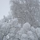 ���� ���������, ���� - ��������� 24 ������� 2018 � ������ �����-��������� ����� ����� �����