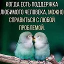 ���� �����, ���������� - ��������� 21 ���� 2018 � ������ ������ ��������