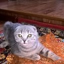 ���� Vova, ����������, 40 ��� - ��������� 24 ���� 2018 � ������ ���� ����������