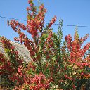 ���� �������, ��������, 70 ��� - ��������� 2 �������� 2018