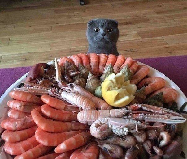  ,     ,   !