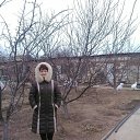 ���� ����, ���������, 74 ���� - ��������� 29 ������ 2019 � ������ ������ ��������