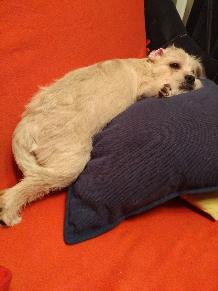 Бусинка, 5 месяцев