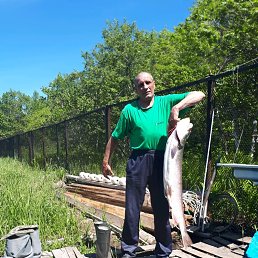 ����, ����-���������, 61 ���