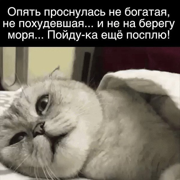 ☆������ �����☆ - 17 ������� 2018 � 16:34