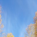 ���� ������, ����������� - ��������� 14 ������� 2019 � ������ ���� ����������
