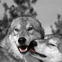 ���� Anzhelika, ������ - ��������� 28 �������� 2018 � ������ ���� ����������