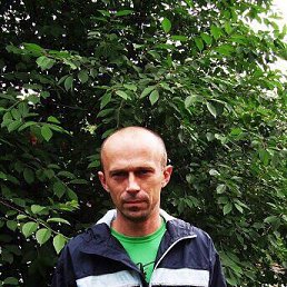 ���� �����, �����, 49 ��� - ��������� 15 ������ 2019