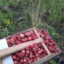 ����,����� ������������ ����������� �������,�������� ����� ����� �� ��������...��� �������,� "�������" � �� � ������� ����! �� ������� �����������