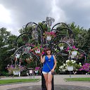 ���� ������, ���������, 47 ��� - ��������� 22 ���� 2018 � ������ ���� ����������