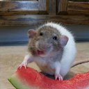 ���� ���������, �����-���������, 63 ���� - ��������� 12 ������� 2018 � ������ ������ ��������