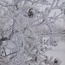 ���� �����, �������, 56 ��� - ��������� 5 ������� 2019 � ������ �������� �����