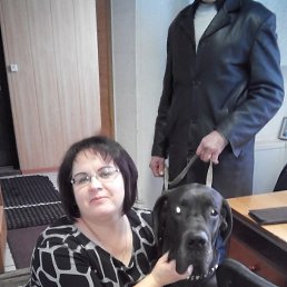 �����, ������������, 43 ����