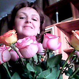 ����� �����, ���������, 55 ���