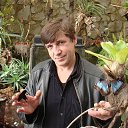  , -, 61  -  13  2018    