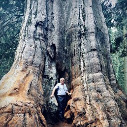 _ �������, ����������, 62 ����