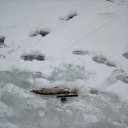 ���� ���, ���, 66 ��� - ��������� 16 ����� 2019 � ������ ���� ����������