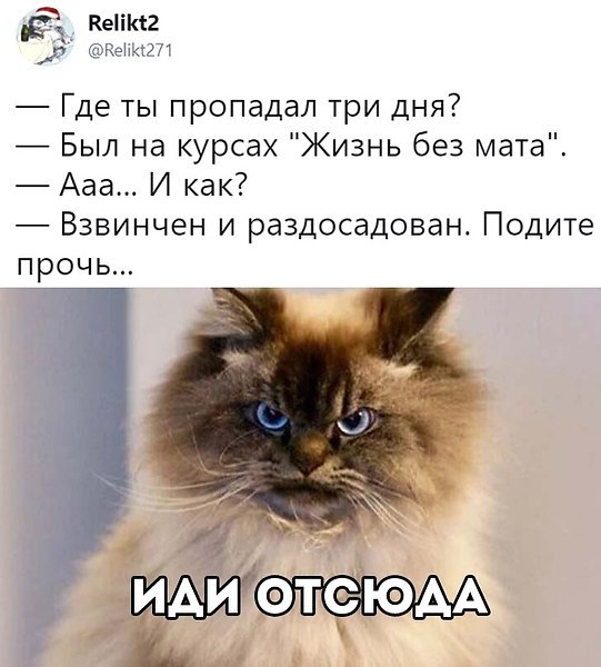 ������ - 9 ������ 2019 � 17:06