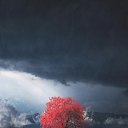 ���� ���������, ������, 45 ��� - ��������� 23 ������ 2018 � ������ ������ ��������