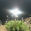 ���� ������, �����-���������, 60 ��� - ��������� 6 �������� 2018 � ������ ���� ����������