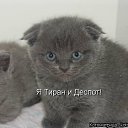 ���� ���������, ���������, 60 ��� - ��������� 6 ������ 2018 � ������ ���� ����������